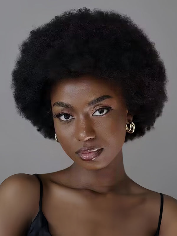 Wavymy Afro Wig Short Kinky Curly Pixie Wig Fluffy Explosion Human Hair Wig