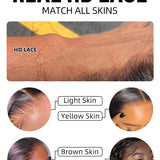 Wavymy HD Lace Wear Go Wigs Dome Cap Glueless Straight  4x6 Lace Closure Wigs 180% Density